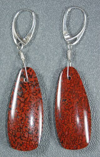 Rich, Red Agatized Dinosaur Gembone Earrings #33830